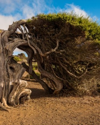 El Hierro